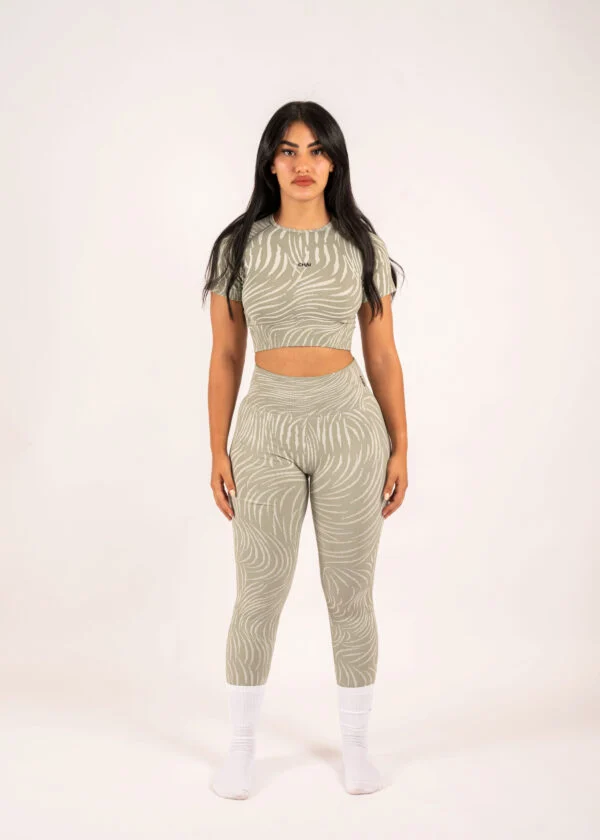 Zebra Set