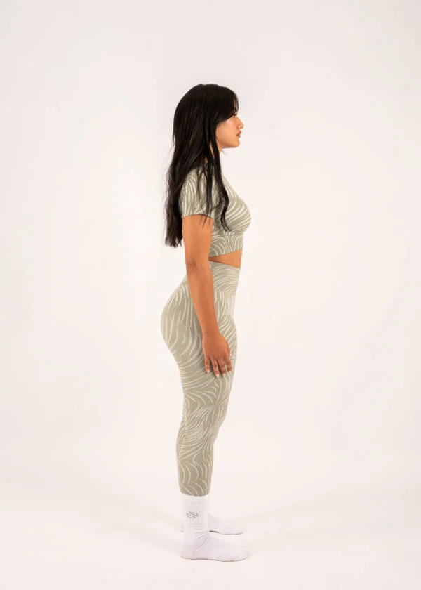 Zebra Set