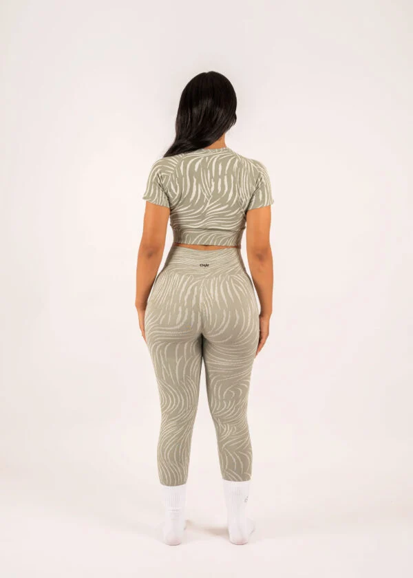 Zebra Set