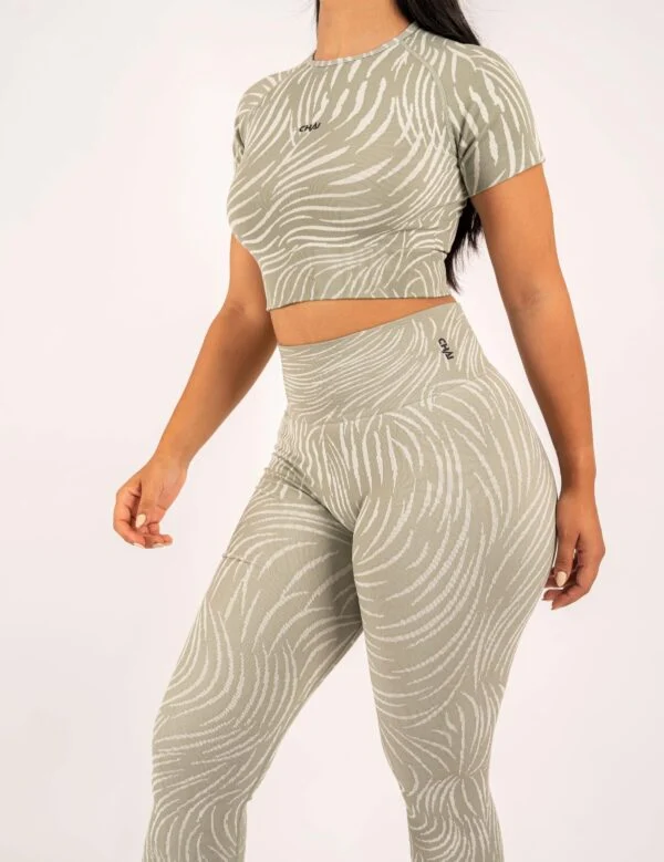Zebra Set