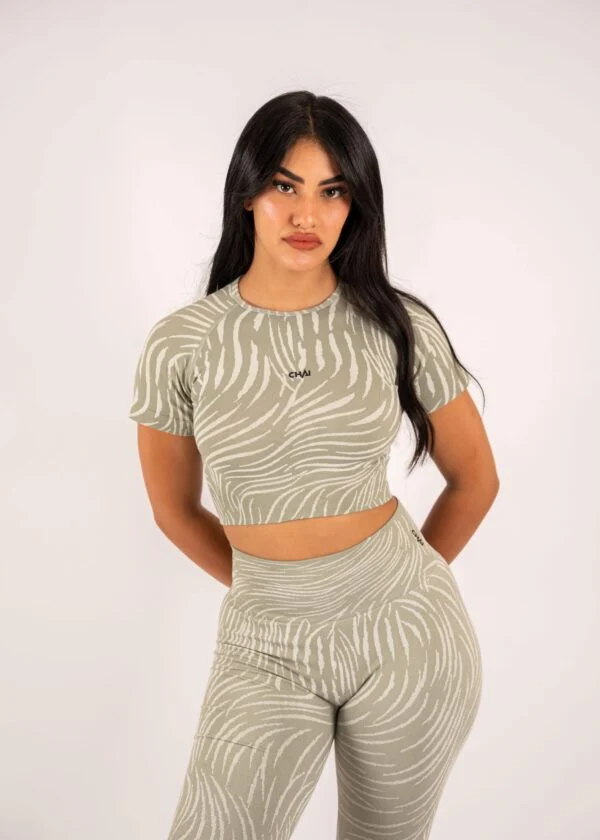 Zebra Set