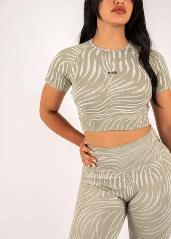 Zebra Set